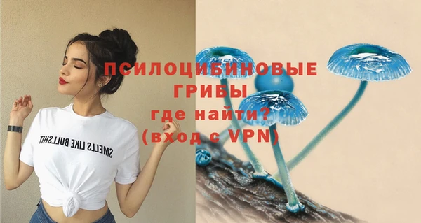 гашиш Аркадак