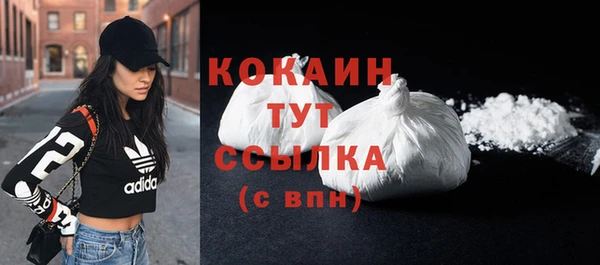 прущие грибы Арсеньев