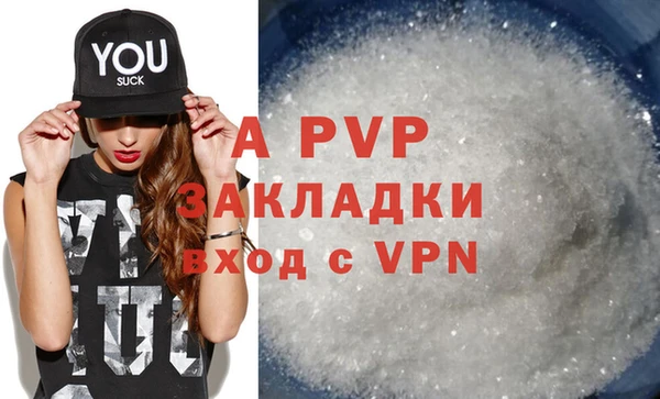прущие грибы Арсеньев