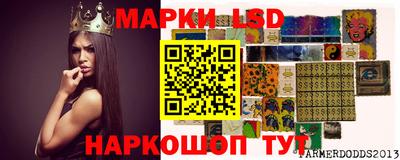 стаф Нальчик