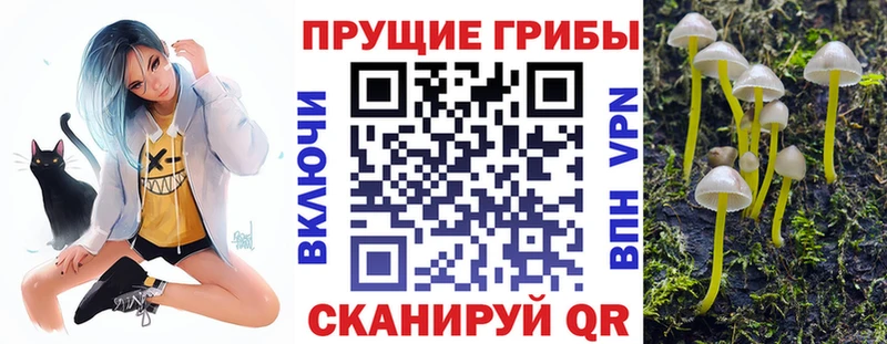 закладки  Барабинск  blacksprut ссылки  Галлюциногенные грибы Psilocybine cubensis 